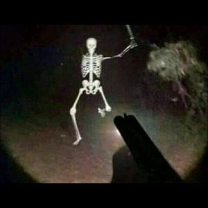 Meet your Posher, Morrea